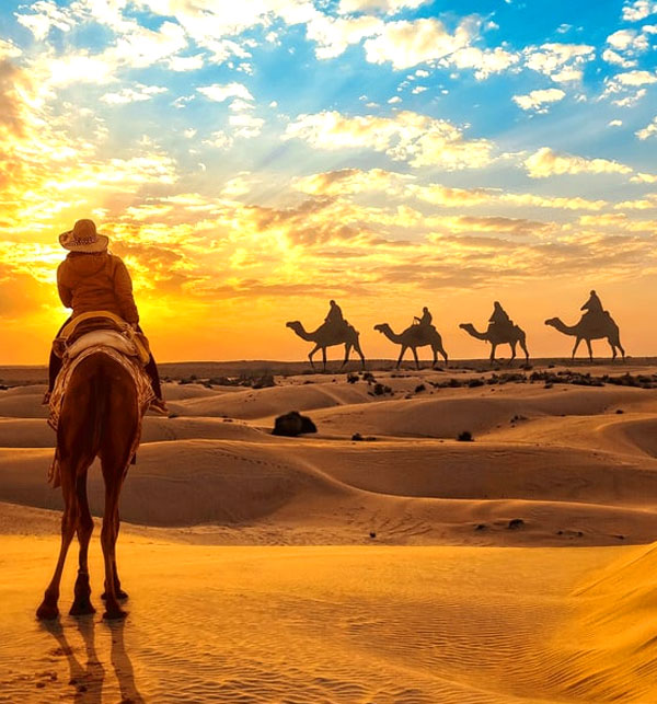 Thar Desert